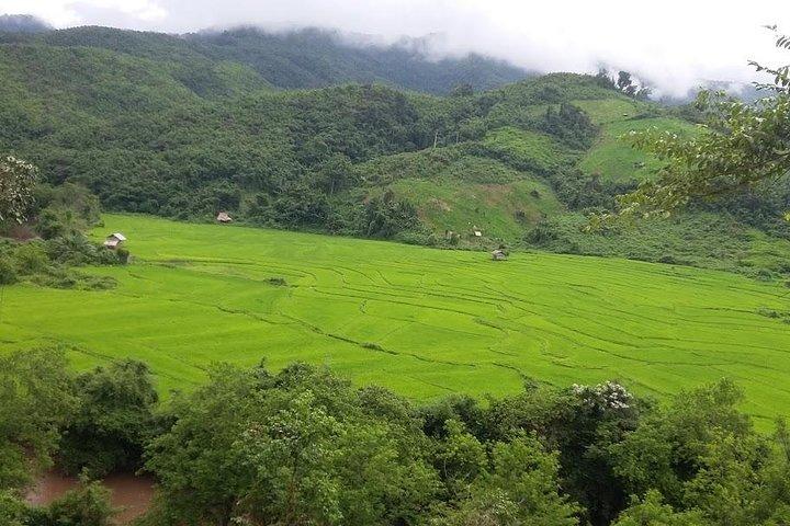 Hunter Trails, 3 days difficult trekking with Camping & Homestay