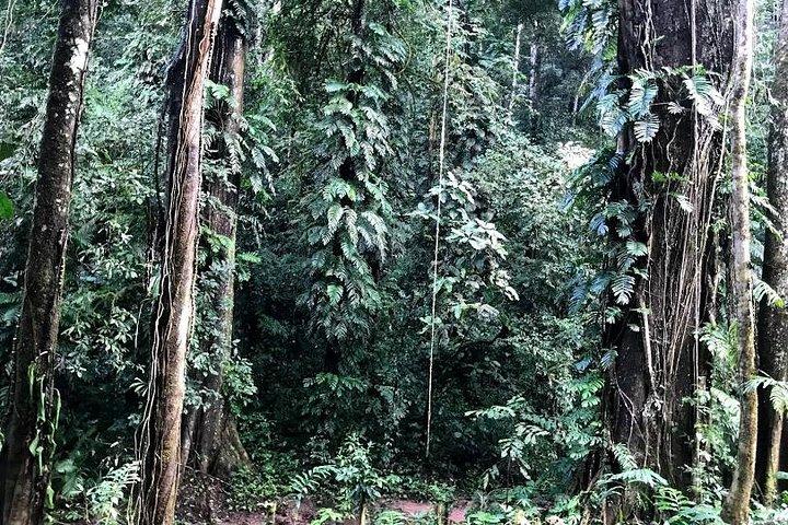 Hunter Trails, 3 days difficult trekking with Camping & Homestay