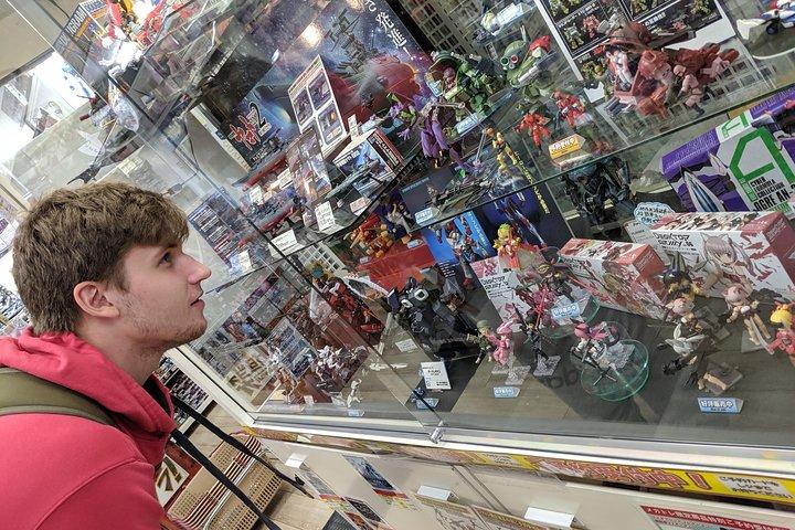 Akihabara Tailor-made Private Tour for Anime Fans