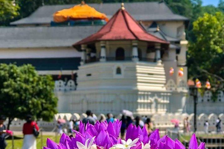 Beautiful Sri Lanka - 6 Days Tour (Colombo-Sigiriya-Kandy -Galle)