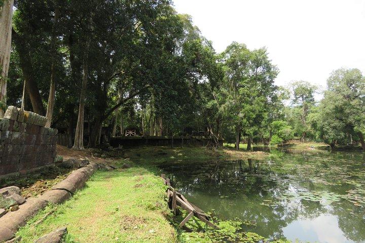 Explore Beng Mealea and Banteay Srei