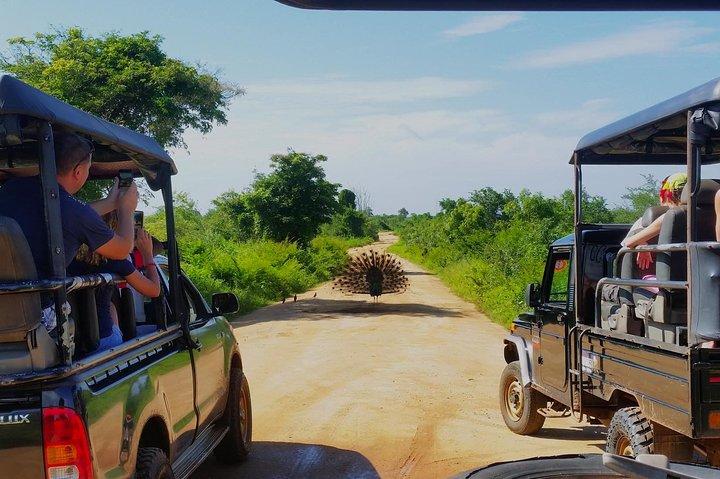 Day Excursions to Udawalawe from Colombo