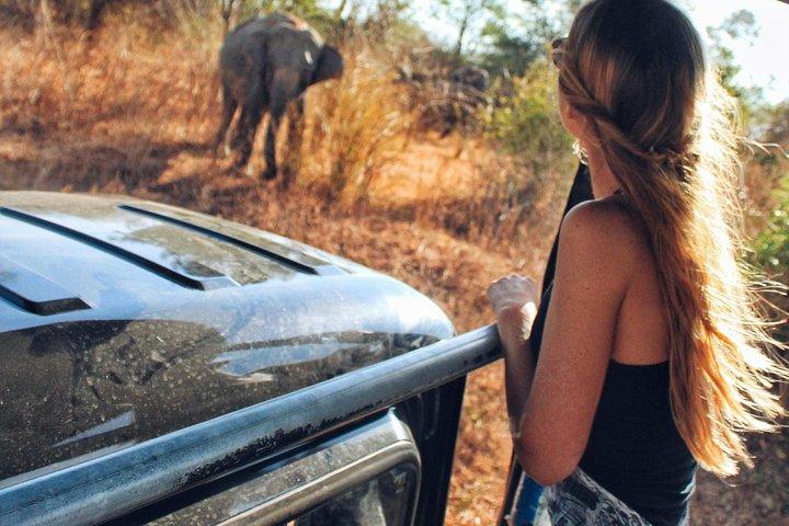 Day Excursions to Udawalawe from Colombo