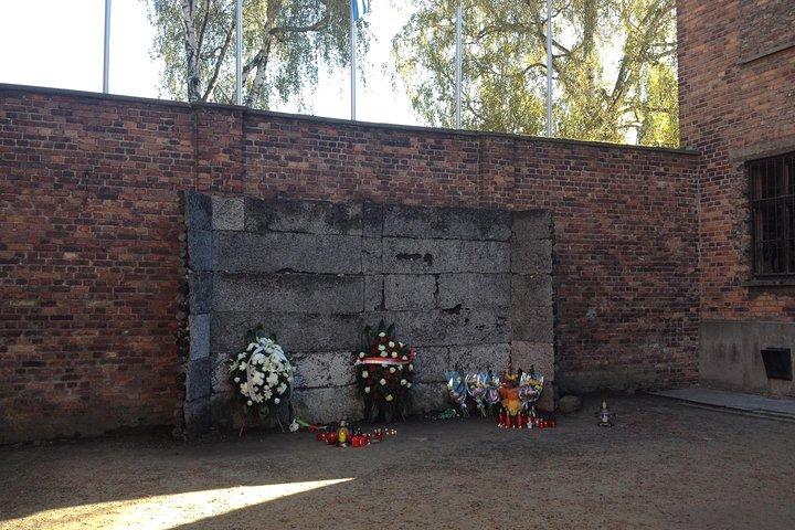Auschwitz-Birkenau Museum and Memorial Guided Tour from Krakow
