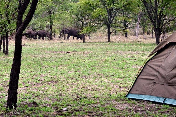 2-Day Safari toTarangire & Ngorongoro Crater