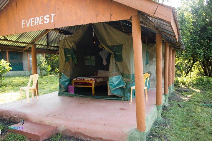 4 Days Masai Mara -Lake Nakuru National Park From Nairobi