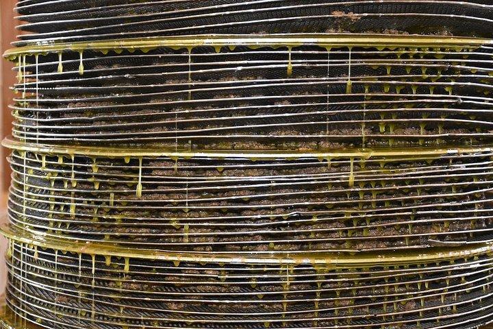 Olive Oil Tasting Tour