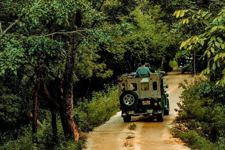 Sigiriya and Minneriya Great Escape