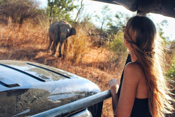 Day Trip to Udawalawe from Colombo (Transfer only)