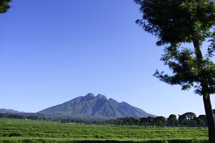 1 Day Mount Bisoke Hike Adventure Tour in Volcanoes National Park