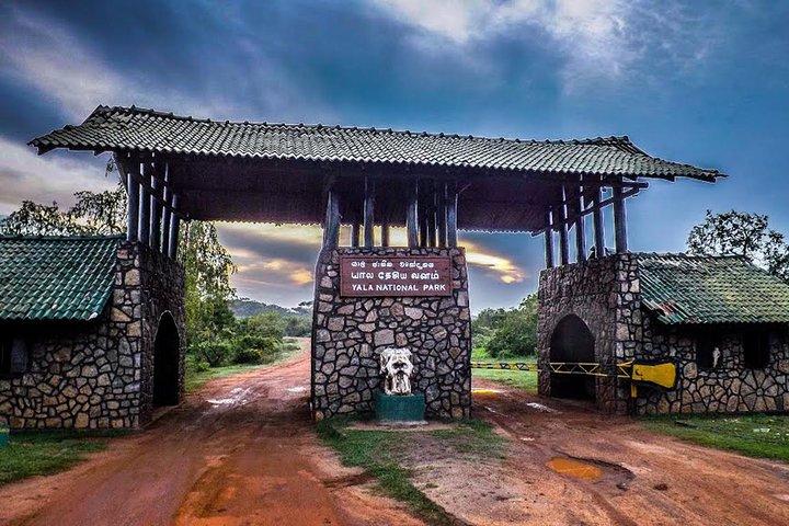Private 02 Day Leopard Safari in Yala from Colombo