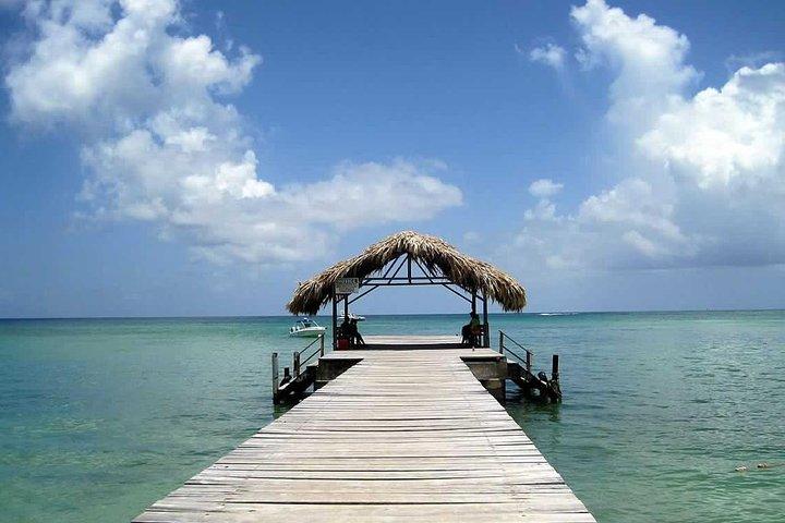 Tobago Buccoo Reef Glass Bottom Boat Tour