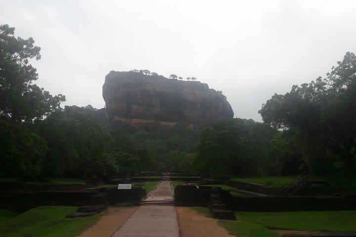 Private Minneriya National Park Jeep Safari And Sigiriya Tour