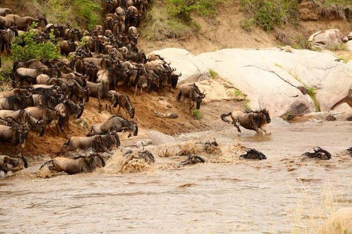 3 Days adventurous Maasai Mara Budget Group Safari