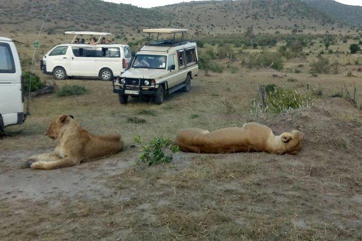 3 Days adventurous Maasai Mara Budget Group Safari