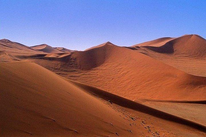 06 Days Etosha, Swakopmund and Sossusvlei | Guided Lodge