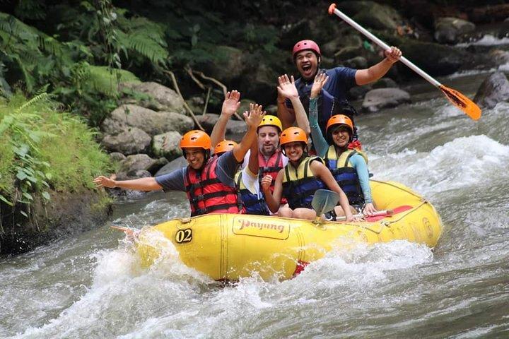 Ubud Water Rafting And Swing All Inclusive Private Guided Tour