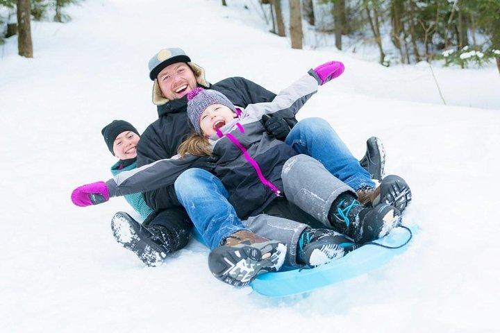 1-Day Snow Monkeys & Snow Fun in Shiga Kogen Tour