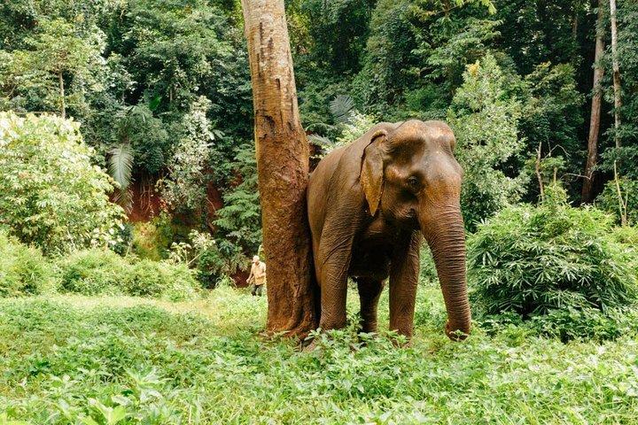 Lombok Wildlife Park Ticket