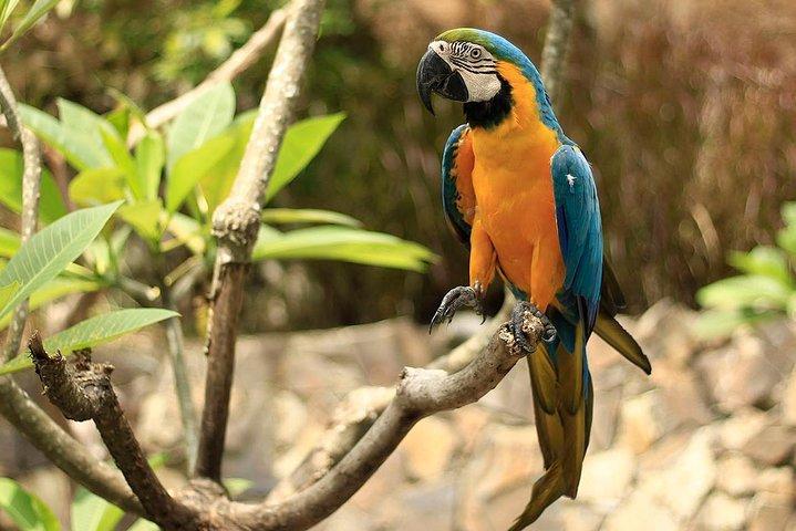 Lombok Wildlife Park Ticket