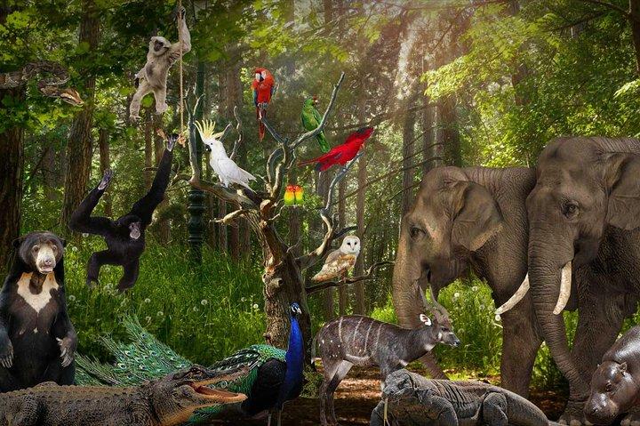 Lombok Wildlife Park Ticket