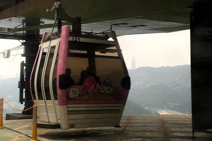 N108 Taipei 101 Cat Air Cable Car Cat Empty Tea Garden Palace Museum Day Tour (10h)