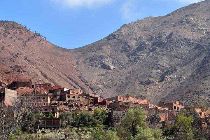 Day in the Atlas Mountains with camel ride