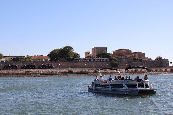 2-hour Bird Watching Guided Boat Trip in Ria Formosa from Faro Algarve