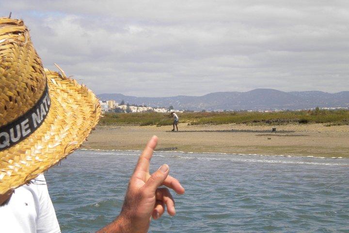 2-hour Bird Watching Guided Boat Trip in Ria Formosa from Faro Algarve