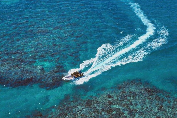 Ocean Freedom: Great Barrier Reef Stylish Snorkel, Dive Reef Tour