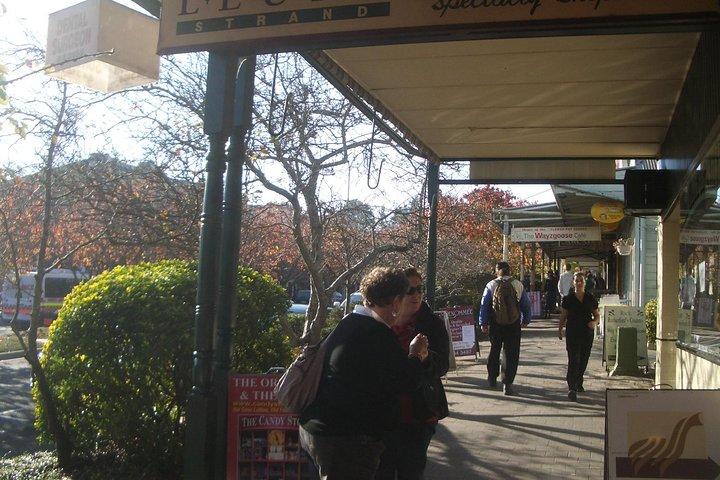 PRIVATE Blue Mountains day tour with local guide.