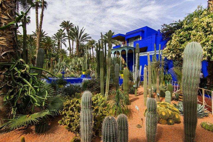 Guided Unveiling the Medina's Wonders of Marrakech