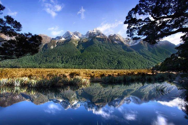 Luxury Milford Sound Coach and Scenic Cruise