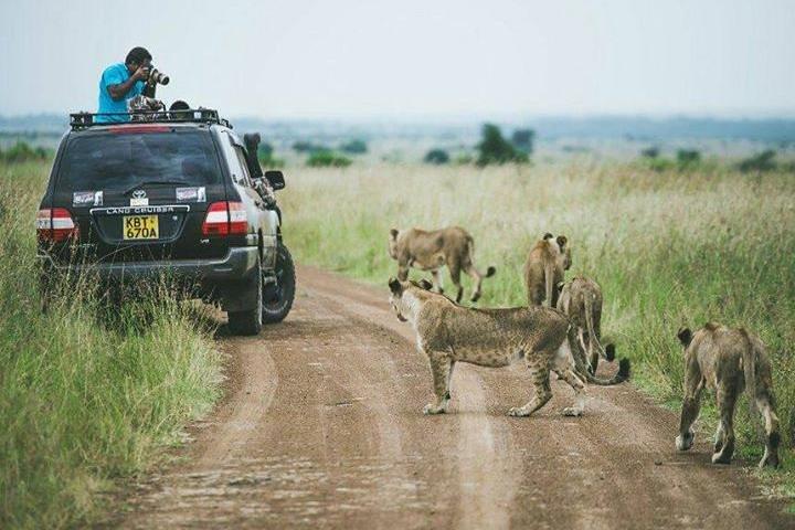 half Day TOURS/NAIROBI NATIONAL PARK/ELEPHANT & GIRAFFE CENTRE