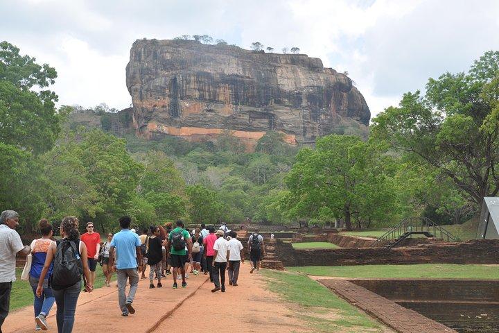 Sigiriya and Minneriya from Colombo (2 Days)