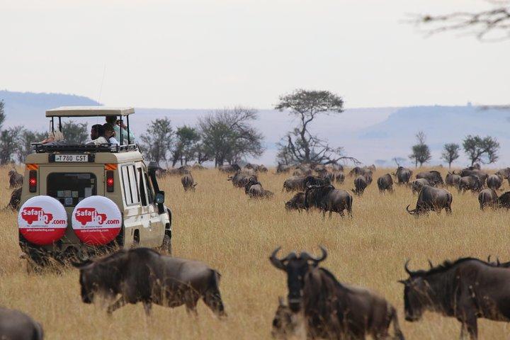 3 Day Serengeti National Park & Ngorongoro Crater Camping Safari