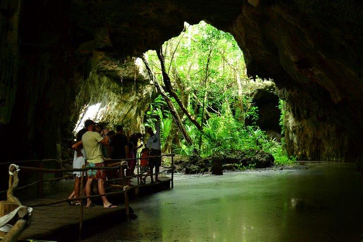 Cenote and Akumal Snorkel