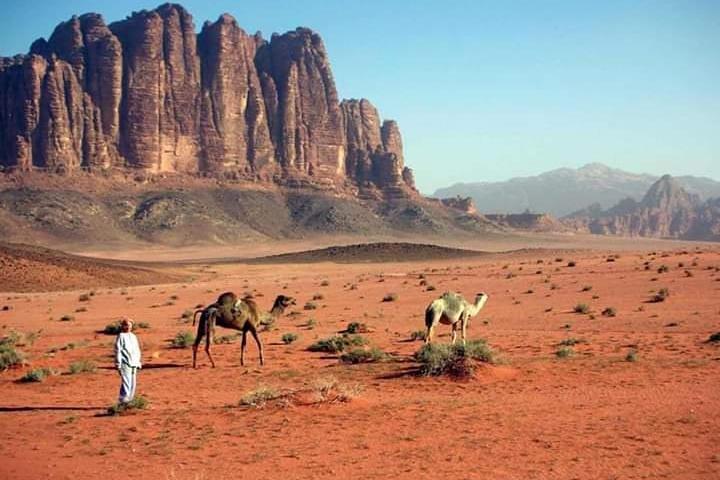4 Days Tour Petra, Wadi Rum, Aqaba starts from Amman, Dead Sea or Airport