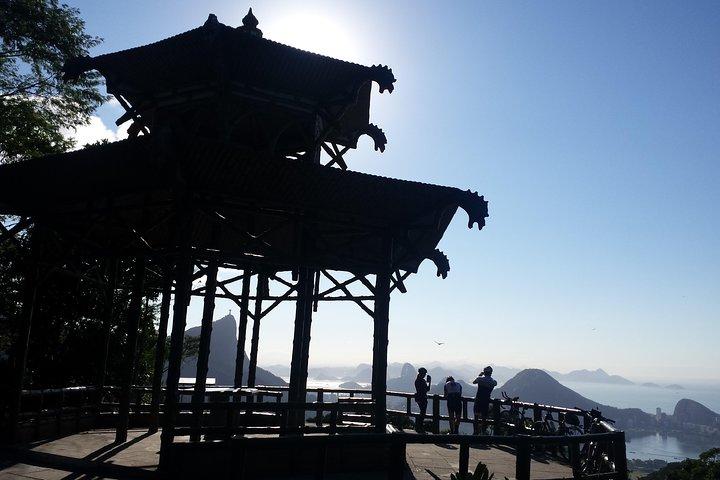 Tijuca Forest Hiking tour - Forest & waterfalls