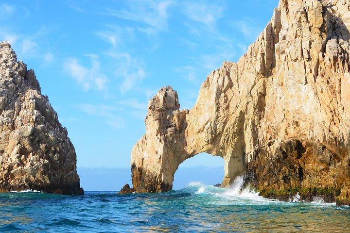 Small-Group Whale Watch with Marine Biologist in Cabo San Lucas