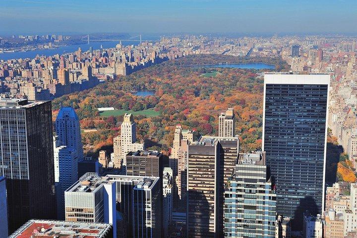 See 30 Top New York Sights! Fun Local Guide! (Kids Free!)