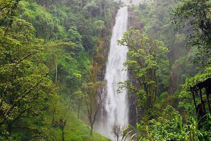 Materuni waterfalls & coffee tour