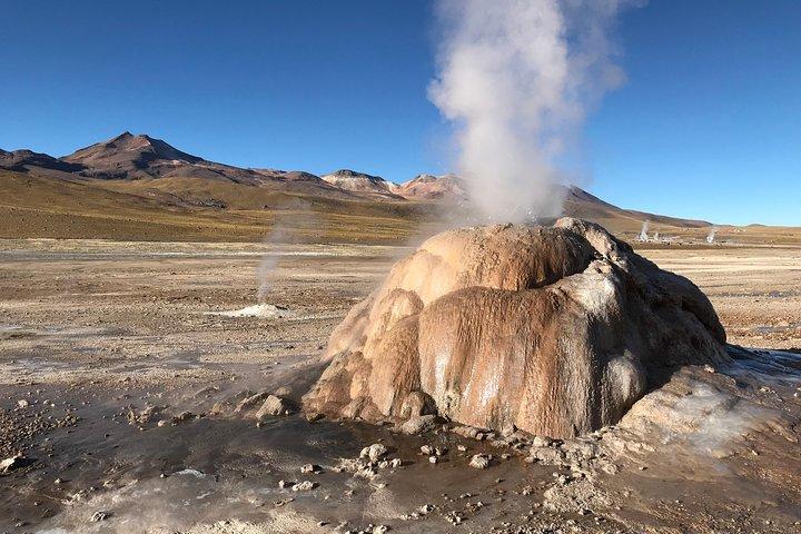 Small-Group Tour to Tatio Geysers Machuca Village & Rio Putana wetlands