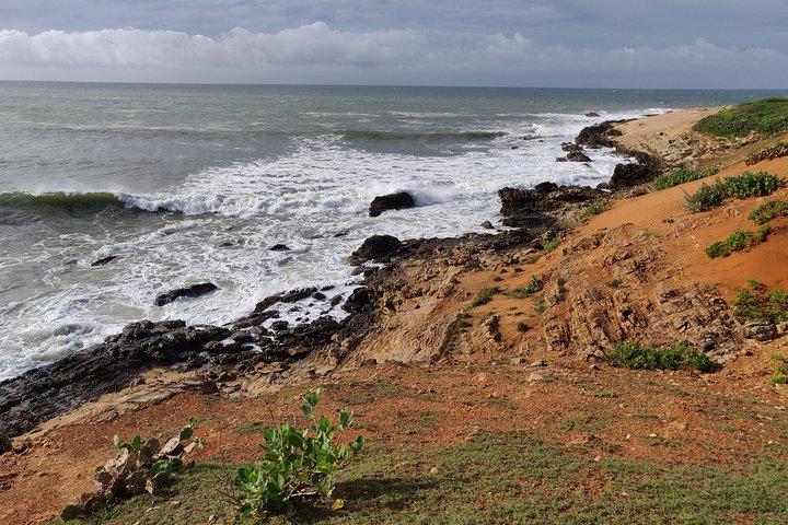 Bundala National Park Safari From Hambantota Seaport