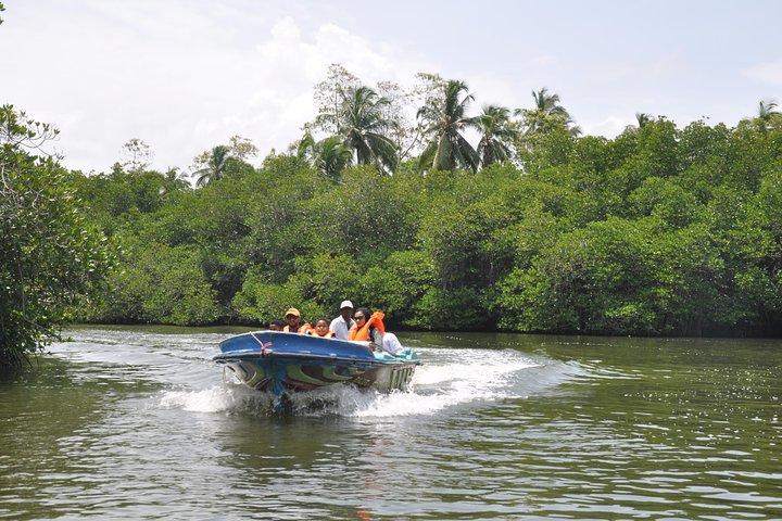 Bentota City Tour from Colombo Seaport