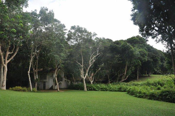 Bentota City Tour from Kalutara