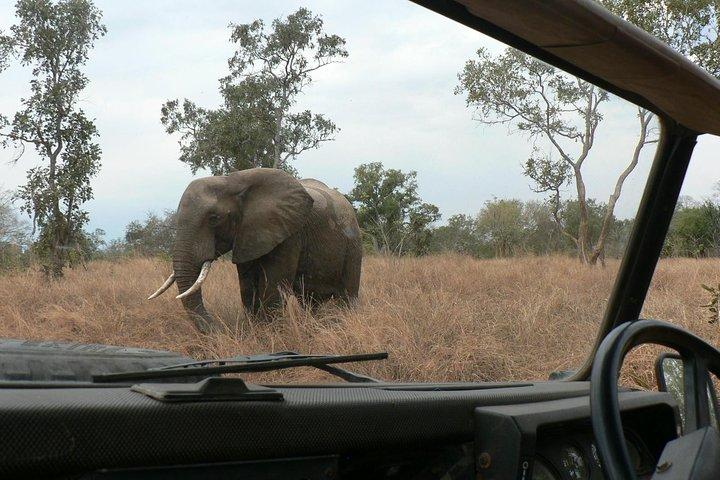 5 Days Safari to Selous & Mikumi