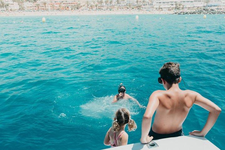 Tenerife: Whale and dolphin watching