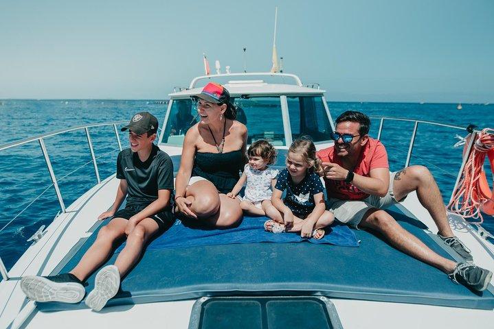 Tenerife: Whale and dolphin watching