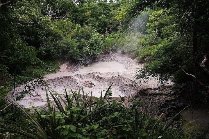 Rincón de la Vieja Volcano Hiking Tour & Oropendola Waterfall,